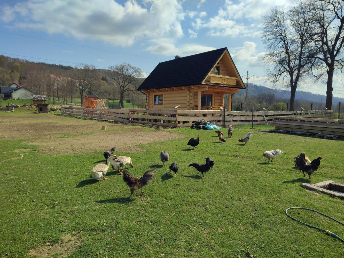 Sudecki Dym Z Kominkiem Kolo Karpacza. Agroturystyka 야노비체 비엘키에 외부 사진